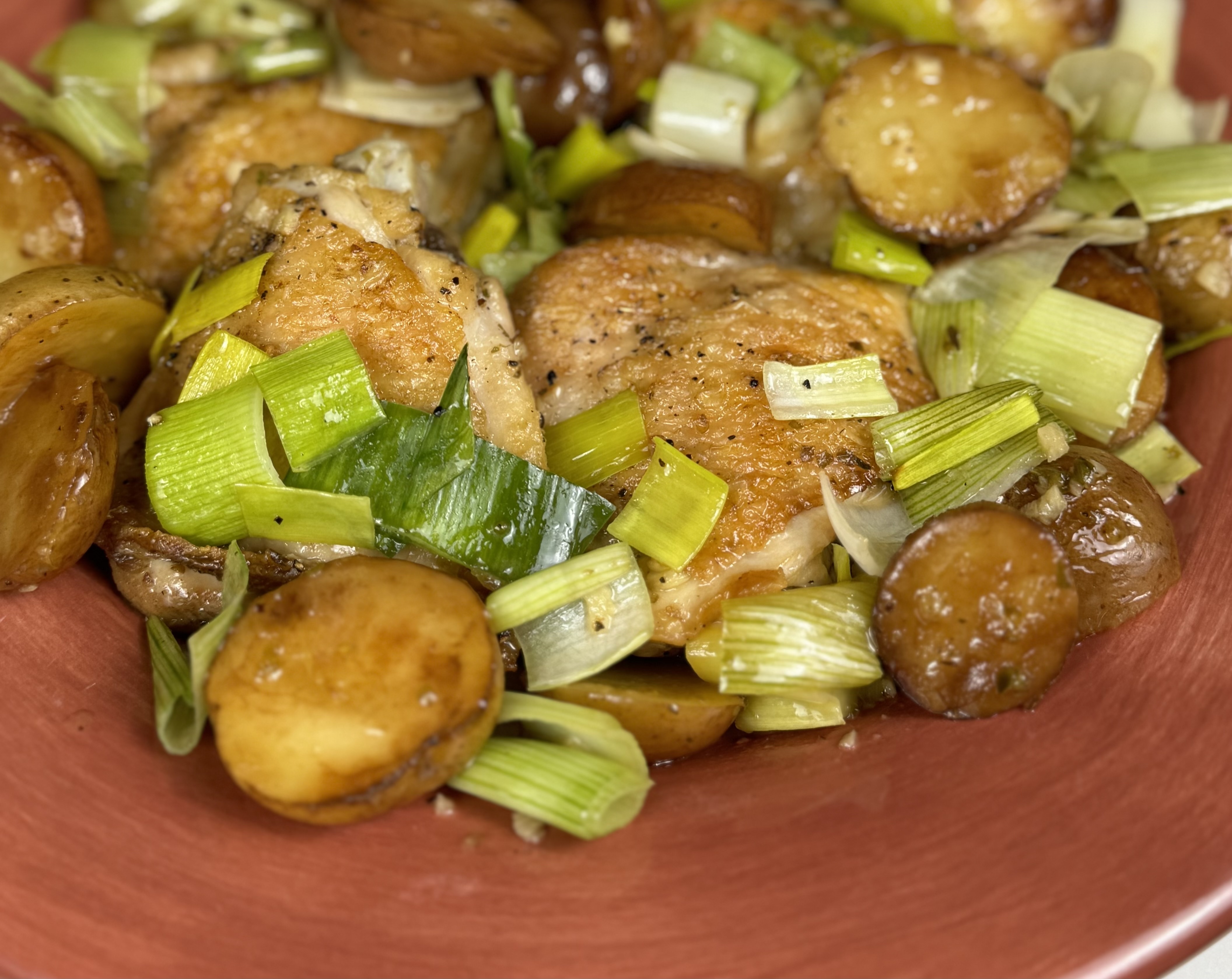 Close up of chicken, leeks, and potatoes