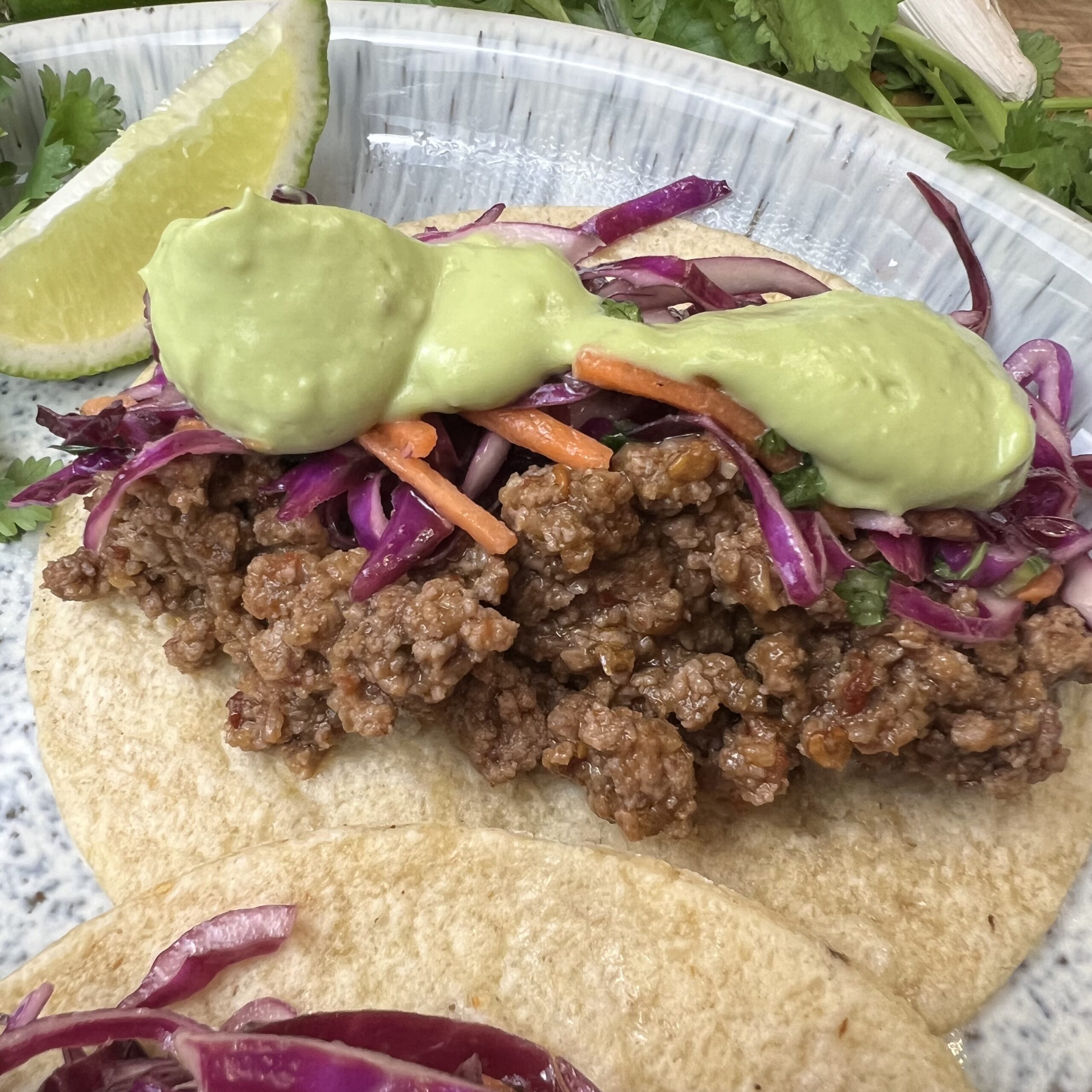 bison tacos close up