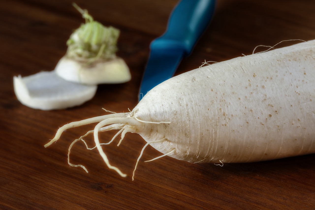 daikon radish